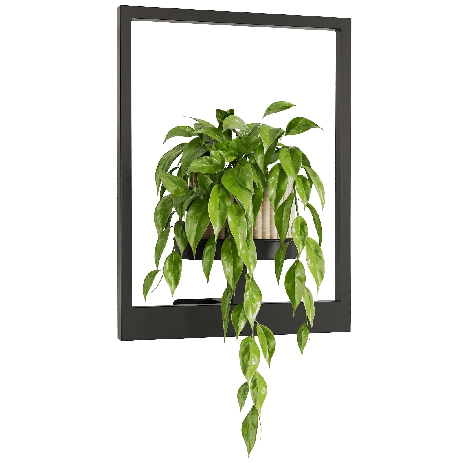 Wall Hanging Planters for Indoor Plants Plant Hanger Indoor Outdoor Window Plant Shelves Hanging Plant Holder Wall-Mounted Plant Rack Black Metal Room Decor 1 Pack(Pot &Plant Not Included)