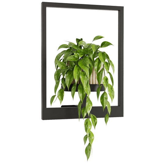 Wall Hanging Planters for Indoor Plants Plant Hanger Indoor Outdoor Window Plant Shelves Hanging Plant Holder Wall-Mounted Plant Rack Black Metal Room Decor 1 Pack(Pot &Plant Not Included)